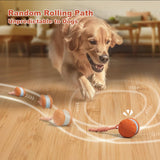Interactive Dog Toys, Random Path Electric Automatic Moving and Rolling Dogs Toy with Rope for Small Medium Large Dogs, Motion-Activated Dog Stimulation