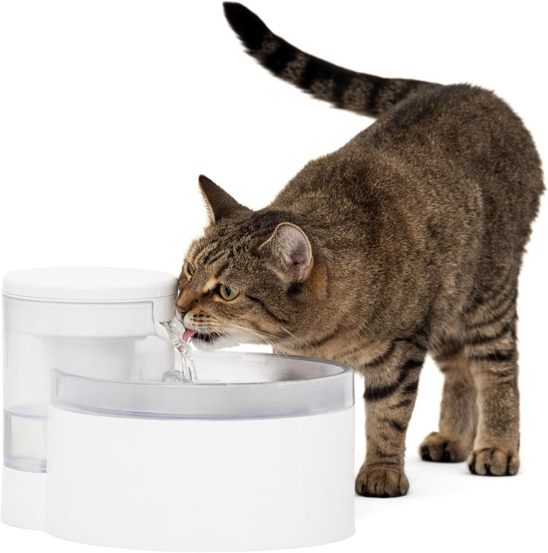 Cat Fountain - Encourages Healthy Hydration - Pump-Free Design - Automatic Pet Water Bowl - Dishwasher-Safe